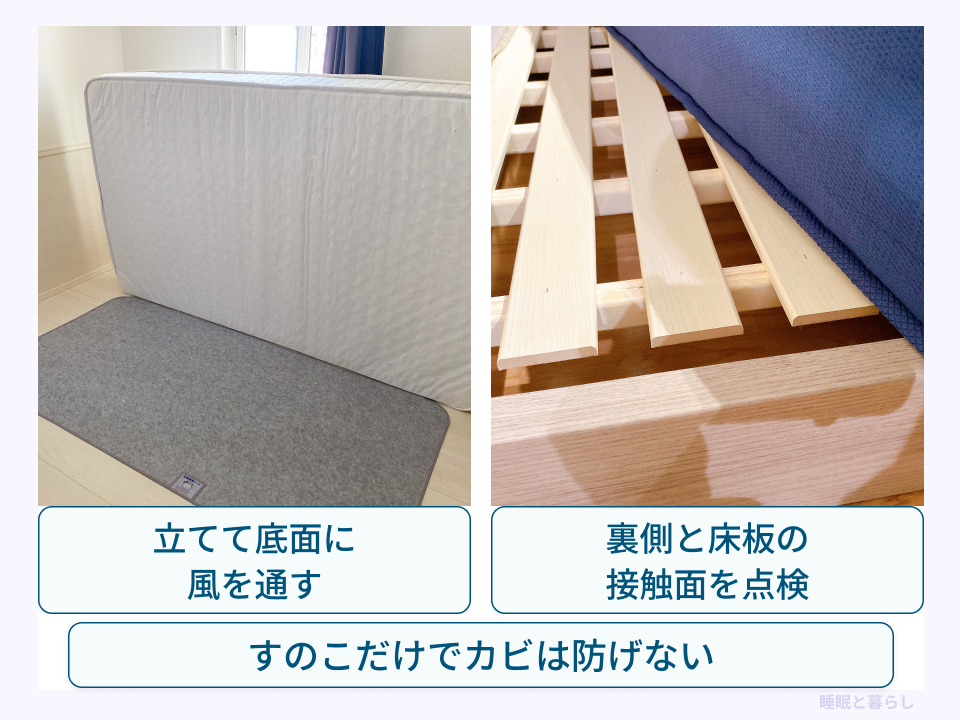 マットレスを立てて底面に風を通し、寝具の裏側と床板の接触面を点検する例